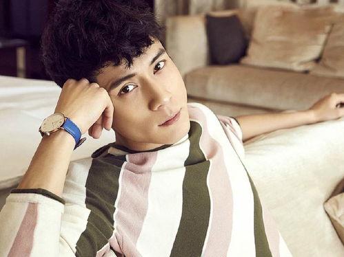 男演员顾,影视界多面手，演绎人生百态