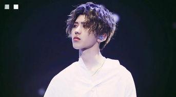 蔡徐坤几线明星,跨越一线界限的璀璨新星