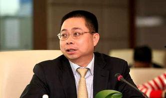 姚振华背景,从地产巨头到资本风云人物，揭秘其传奇人生轨迹